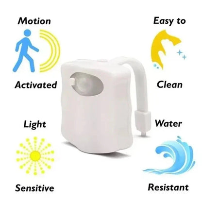 Colour Splash Toilet Light