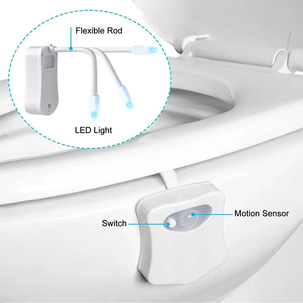 Colour Splash Toilet Light