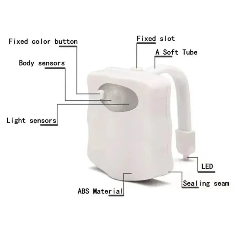 Colour Splash Toilet Light
